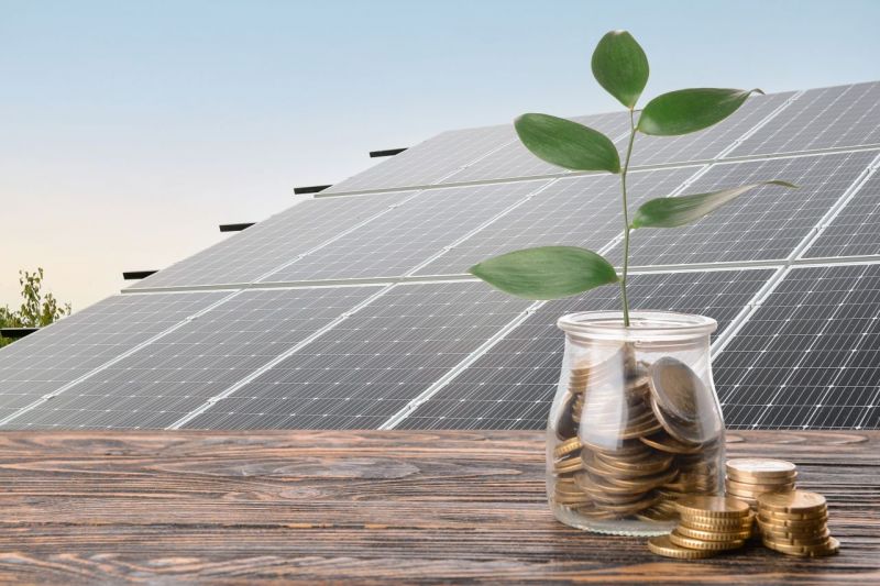 Eine Solaranlage auf einem Dach unf eine grüne Pflanze in einem Glas mit Münzen drin.