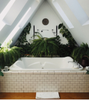 Eine Badewanne unrandet von Pflanzen